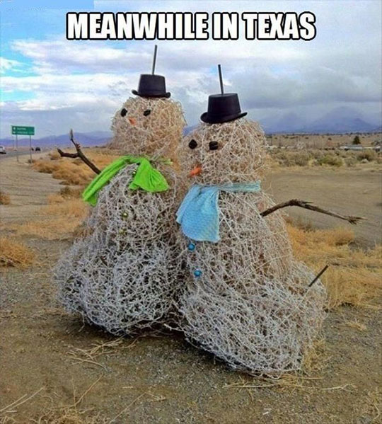 Texas Dealing With Winter