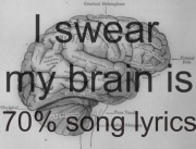 my brain is 70% song lyrics