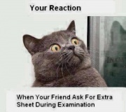 your reaction