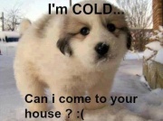 Latest Funny Jokes Picture of It is cold