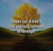 Truth About Paper Cuts