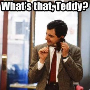 What's that teddy