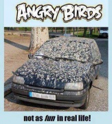 Angry birds