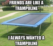 Friends Are Just Like Trampolines