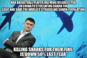 Yao Ming Doing It Right