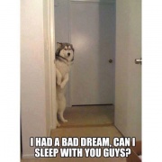 Can I sleep with you =P