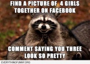 funny caption find a picture of 4 girls leave comment saying you three look so pretty evil racoon meme