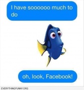 funny cartoon dory nemo caption i have so much to do oh look facebook