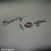 sorry i love you